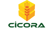 Cicora